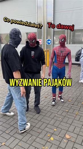Prawie się zmasakrowali❗️Starcie 3 pająków 🕷️ #spiderman #pompki #forma #wyzwanie