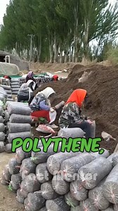 1.6M views · 7.5K reactions | Iran’s Genius Cow Farm Belt Machines #IranAgriculture #SmartFarming #MushroomCultivation #CowFarmTech #SustainableFarming | Fact Mentor | Facebook