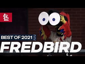 Best of 2021: Fredbird | St. Louis Cardinals