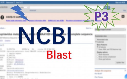 如何用NCBI 中的blast进行目标序列与数据库序列的序列比对