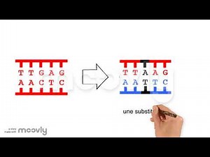 les mutations ponctuelles