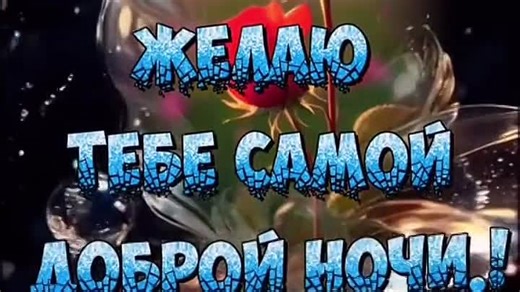 downloaded-file - 2026-02-04T183851.274