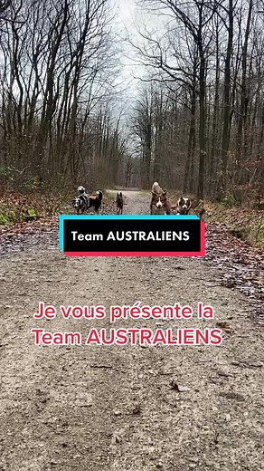 Get.et.Marion.Dogsitter sur TikTok