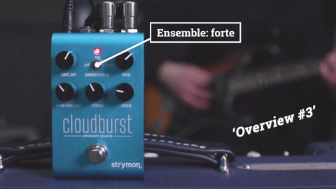 Strymon Cloudburst sound demo