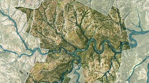 Landscape Architects: Designing a Climate and Nature Positive World