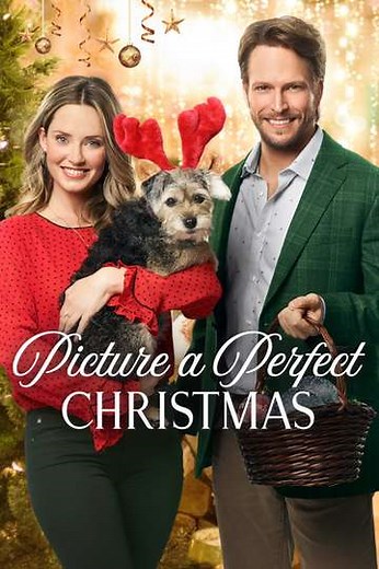Picture a Perfect Christmas - Where to Watch