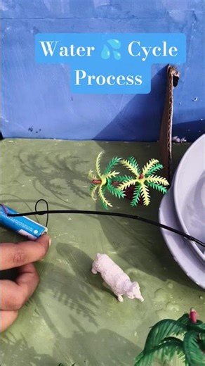 Water Cycle Process | Science Experiment | #viral #shorts #science #experiment