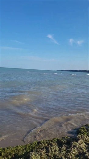 자연영상 #폭포소리 #힐링소리 #명상용 #숙면# 캐나다 🌊# NatureSounds # HealingSpot #mindfulness meditation # CA