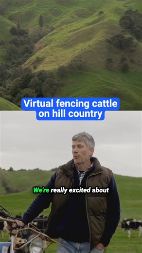 Lots of kiwi beef farmers are using Halter to rotationally grazing their Hill Country. Now it’s Australia’s turn. Precise grazing management, better growth, better utilisation, less time shifting physical fences and mustering cattle. Get in touch with our local Aussie team, to learn more. | Halter