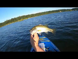 South Jersey Summer Bass Fishing @ Bargaintown Pond and EHT Nature Reserve