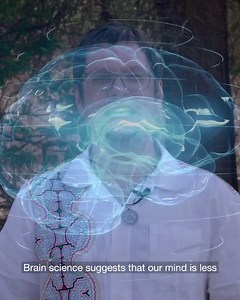 17 reactions | Permaculture: Accelerated Learning “Wisdom and...