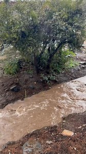 1.5K views · 39 reactions | First time in the 5 years I’ve been at YRCC that I’ve seen the creek run!! | Yarnell Regional Community Center | Facebook