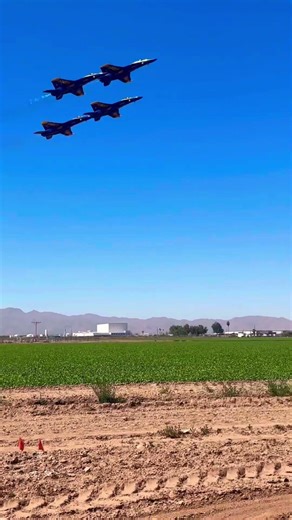 #aviation #blueangels #viralvideo Blue angel low pass with full after burners!