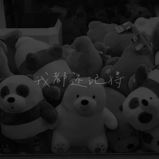 为什么我对这个世界极尽温柔，换来的却是卑微与冷落