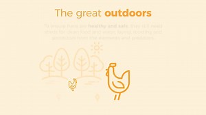 There is a new national standard to bring greater clarity to free range eggs. Watch the video to learn more | Australian Eggs