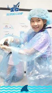 🦈 Shark Dissection with Native Teacher