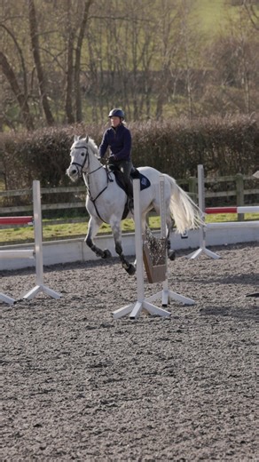 The final installment in the winter training series with Franky-Reid Warrilow 🐴 #trainwithshires #horsetraining #schooling #winterschooling | Old Mill Saddlery