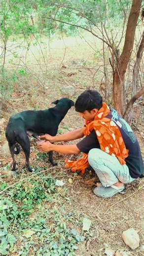 chai ki dukaan ❎ kutta ka dudh ✅#explore #comedy #shortsfeed #viral #views #foryoupage#youtubeshorts