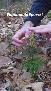 12K views · 148 reactions | Great Survival fire starters  Follow for more  #survivalskills #survival #campinglife #camping #bushcraft #Survivalism #primitivecamping #campinglife #foryoupageviralシ゚ | Quick Survival IQ | Facebook