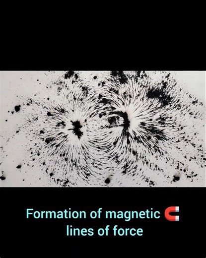 Magnetic 🧲🧭 lines of force