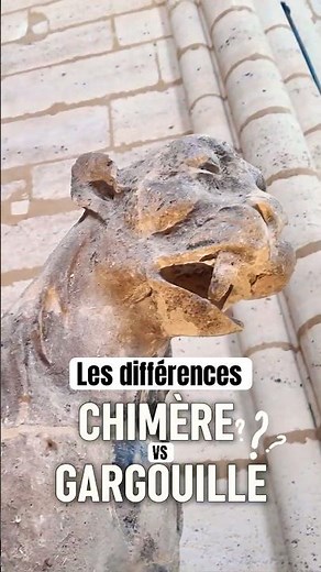 GARGOYLE VS CHIMERA: WHAT'S THE DIFFERENCE? #cathedral #notredame #architecture #creature #paris