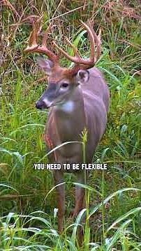 Habitat projects can change deer movement and you may need to adjust your hunting strategy!