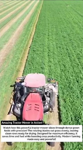 Amazing Tractor Mower in Action! Cutting Green Fields Like a Pro 🌾💪 #FarmingTech
