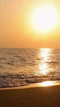 Elegant Tropical Brazilian Bossa Nova | Lounge Vibes | Smooth Jazz