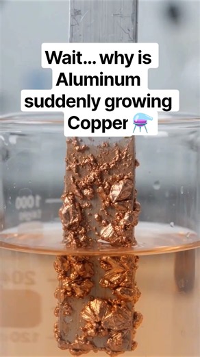 Why Does Aluminum Suddenly Turn Copper? 🧪 #chemicalreaction #displacement #chemistryeducation