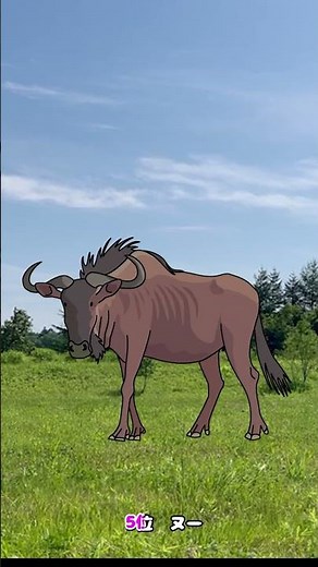 #走りの早い動物ランキング #知育動画で楽しく学ぶor童謡みんなのうた【走りの早い動物ランキング】歌詞付き https://youtu.be/9rd0cjMrGaQ ロングバージョン