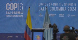 UN biodiversity conference concludes in Colombia