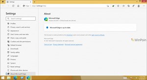 Microsoft Rilis Edge Chromium Dev 92.0.891.1, Hadirkan Peningkatan Vertical Tab