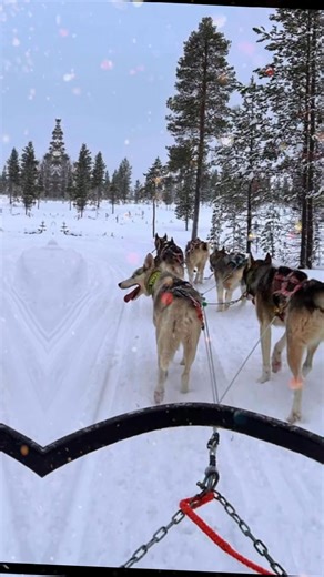 ❄️🎄🎅 Lapland Experience the magic of a family holiday made for every generation. ✨ At Santa’s Lapland, it’s not just the children who believe in the magic. Parents, grandparents and little ones alike all leave with memories that will last a lifetime. ❤️ Because the best Christmas memories are the ones you make together. 🎅 #SupportSmallBusiness #fayeharrisontravel #clients #travelagentuk #santaslapland #santaslapland🎅❄️🎄 #Christmas #christmas #family #familytime #believe #Believe | Faye Harr