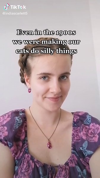 Vintage Cat Photos from the 1900s: A Glimpse into History