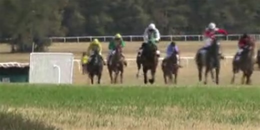 The Colonial Cup returns to Camden in 2024