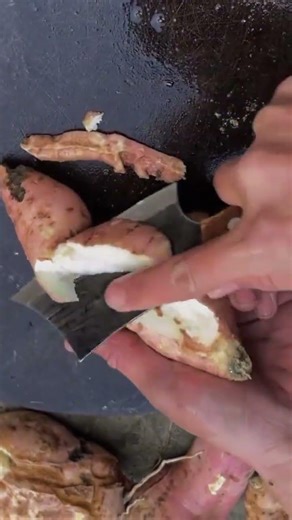 Home-Grown Harvest: A Springtime Food Map Journey in Rural China