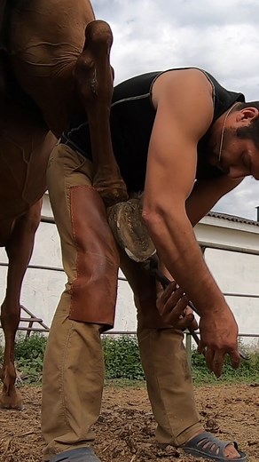 27K views · 143 reactions | Smart Farming on Reels | Facebook