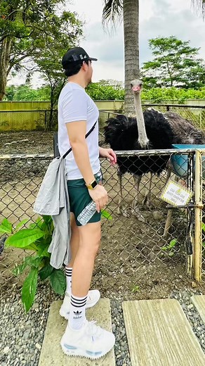 felton manrique on TikTok