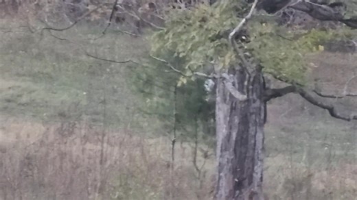 Sarah Embry on Reels | Facebook