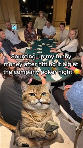 All the cool cats throw Casino Parties 😸😸😸 #Casino #CasinoParty #Poker #Cat #CatVideos #Funny