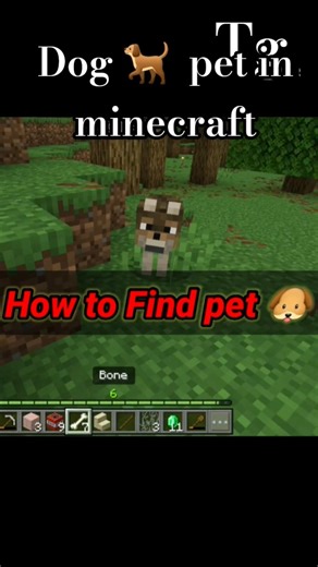 How⁉️ to Make a Pets🐶 in Minecraft #minecraft #gamers #trending @tocsigamerz