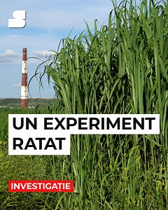 184 reactions · 78 shares |  Un experiment ratat  Încălzirea...