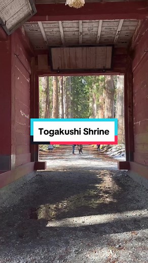 Togakushi Shrine, Nagano. Although winter is late this year, it’s already snowed in Nagano in the mountain. These tall trees leading to the main shrine is the attraction here. #japan #nagano #togakushi #shrine #yasumijapan