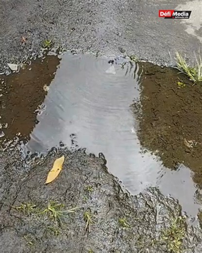 Brisée-Verdière : une conduite d’eau endomagée depuis plus de huit mois Une conduite d’eau à l’entrée de Hibiscus Lane, sur la route de Belvédère, à Brisée-Verdière, est endommagée depuis plus de huit mois, selon un internaute. Il affirme que cette fuite provoque quotidiennement des accumulations d’eau et perturbe également l’alimentation en eau des résidents. Il ajoute que plusieurs plaintes ont été déposées par des habitants de la région, mais aucune réparation n’a été faite. Pertaub Lovena | 