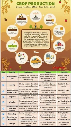Crop Production & Operations Explained 🌾 | Step-by-Step Farming Process#FarmingTips #cropproduction