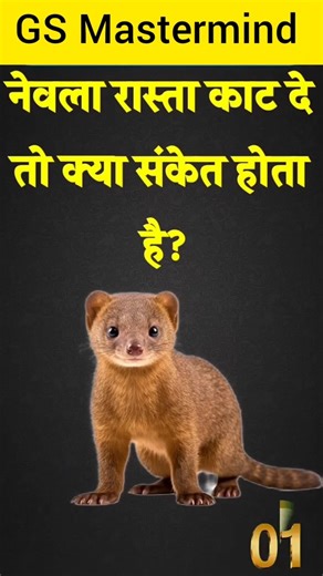 Top 50 ✍️ IAS Question🔥💯🥰 || GK Question and Answer|Part-205|#gkfacts#staticgk #bkgkstudy #gkinhindi