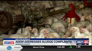 ADEM revising proposed rules on land-applied chicken sludge