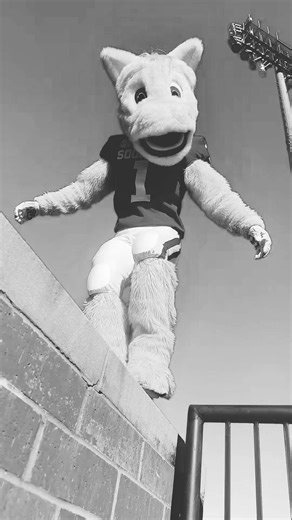 late night finds #boomer #sooner #ou #sec #oklahoma | late night finds