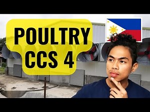 How much is a CCS4 broiler poultry building?