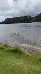 'Kangaroo' swimming at Waipuke park on lake karapiro | Loki's Adventures